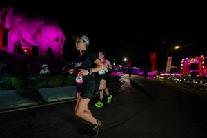 BIB: 
                            <button type="button" onclick="openModal(26552536)" class="btn btn-primary btn-sm float-right btn-popup" data-toggle="modal" data-target=".modal-high-quality">
                        <i class="fas fa-shopping-cart"></i> Add to Cart
                    </button>
                                            <button type="button" onclick="isThisMe(26552536, true)" class="btn btn-success btn-sm float-right btn-popup btn-isme hidden" data-toggle="tooltip" data-placement="bottom" title="นี่คือรูปของคุณใช่ไหม คลิกที่นี่เพื่อเอาเข้าอัลบั้ม">
                        <i class="fas fa-plus"></i> Add to album
                    </button>
                    <button type="button" onclick="isThisMe(26552536, false)" class="btn btn-warning btn-sm float-right btn-popup btn-isnotme hidden">
                        <i class="fas fa-ban"></i> Remove from album
                    </button>